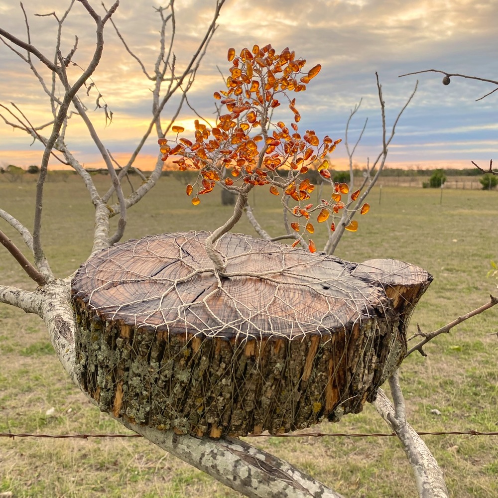 Meet your Posher, Johnathon